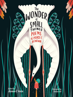 cover image of The Wonder of Small Things